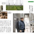 『Winart（ワイナート）』2026年夏号／ 125号（株式会社美術出版社）