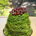丹波大納言小豆と宇治抹茶モンブラン／淀屋橋店限定