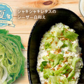 「シャキシャキレタスのシーザー白和え」