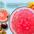 「グァバ&パッションフルーツのトロピカルゼリー」