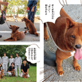 巻頭9pぶんには、犬と高校生たちのグラビアページ掲載。子犬の写真多数