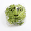 “藤原竜也の顔面”に包まれたレタスが登場！1万個限定で販売 画像