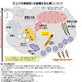 JAXAでは氷結層の存在がいかに危険かを示す図も公開