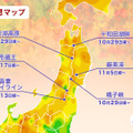 「第一回紅葉見頃予想2026」