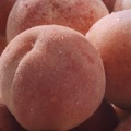森永ｉｎゼリー フルーツ食感「こんなところで、こんなにフルーツ。」篇