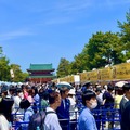 昨年の様子