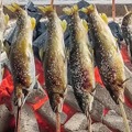 鮎の塩焼き
