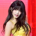 直視できない“パツパツ”感…イェル、胸元ざっくり編み上げ衣装でファン悩殺「わぁ」「すっごい」
