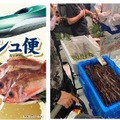 イオン、函館の朝獲れ鮮魚を新幹線配送！首都圏4店舗で2日間販売 画像