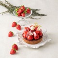 大丸福岡天神店、2026年クリスマスケーキの予約受付開始！