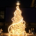 スカイアリーナ「WISH UPON A STAR TREE」 ©TOKYO-SKYTREETOWN