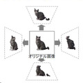 フルカラー情報付き3Dデータの表示例