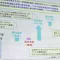 2010年度の売上高見通し