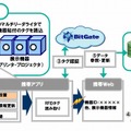 実験のシステムイメージ