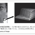 図6．画像の自己合同性