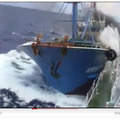 YouTubeにアップされた映像
