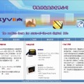 「台湾Skyviia」サイト（画像）