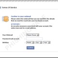 図8：Facebookを装いパスワードの入力を促すフィッシングサイト 