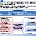 大手通信事業者では、企業グループという新たなドミナントが出現し、グループ内での固定・携帯電話の通話無料化やショップでの販売を実施