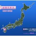 桜開花実況図。まだ九州の一部でしか開花していない