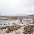 東日本大震災 津波は高台まで押し寄せ、室内には大きな魚が 東日本大震災 津波は高台まで押し寄せ、室内には大きな魚が