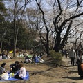 吉祥寺 井の頭公園