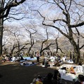 吉祥寺 井の頭公園