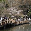 吉祥寺 井の頭公園