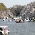 吉祥寺 井の頭公園