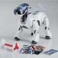 ちょっと丸くなって骨をくわえるようになった新AIBO