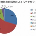 １ヵ月の携帯電話利用料