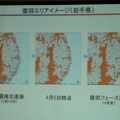 復旧エリアイメージ（岩手県）。オレンジ部が通話可能。灰色部が通話不可。4月末には沿岸部も復旧する予定