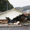 東日本大震災 田代島 電柱の一番上で津波に耐えた 東日本大震災 田代島 電柱の一番上で津波に耐えた