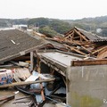 東日本大震災 田代島 電柱の一番上で津波に耐えた 東日本大震災 田代島 電柱の一番上で津波に耐えた