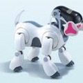 ちょっと丸くなって骨をくわえるようになった新AIBO