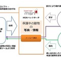 MSNペットサーチの仕組み