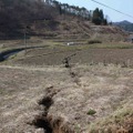  いわき市遠野町綱木、谷底面の水田を切る地表地震断層（東京大学地震研究所）