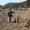  いわき市遠野町綱木，谷底面の水田を切る地表地震断層。北北西を望む。ほぼ垂直な断層面が開口亀裂に沿って露出する。（東京大学地震研究所）