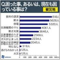 震災後に困ったこと、現在も困っている事（被災地）