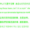 日本語、英語、スペイン語、中国語、台湾語、韓国語という5言語で歌詞も表示。ダウンロードもできる