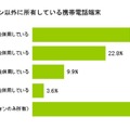 スマートフォン以外に所有している携帯電話端末