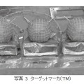 写真 3 ターゲットマーカ（TM）