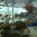 Sony Aquarium