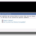 図4：「Human Verification」と称したウィンドウの例 