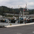 7月より業務を再開した女川魚市場。地盤沈下した岸壁をかさ上げしたために、建物が地下に埋もれる形になった