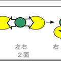 側面の全4面による計6パターンの照明方向を選べるイメージ