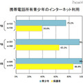 携帯電話所有青少年のインターネット利用