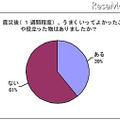 震災後、うまくいってよかったことや役立った物はありましたか？