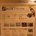 【CEDEC 2011】Wiiを活用してリハビリを少しでも楽しいものに 【CEDEC 2011】Wiiを活用してリハビリを少しでも楽しいものに