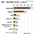 現在の悩み（先月比） ：企業調査